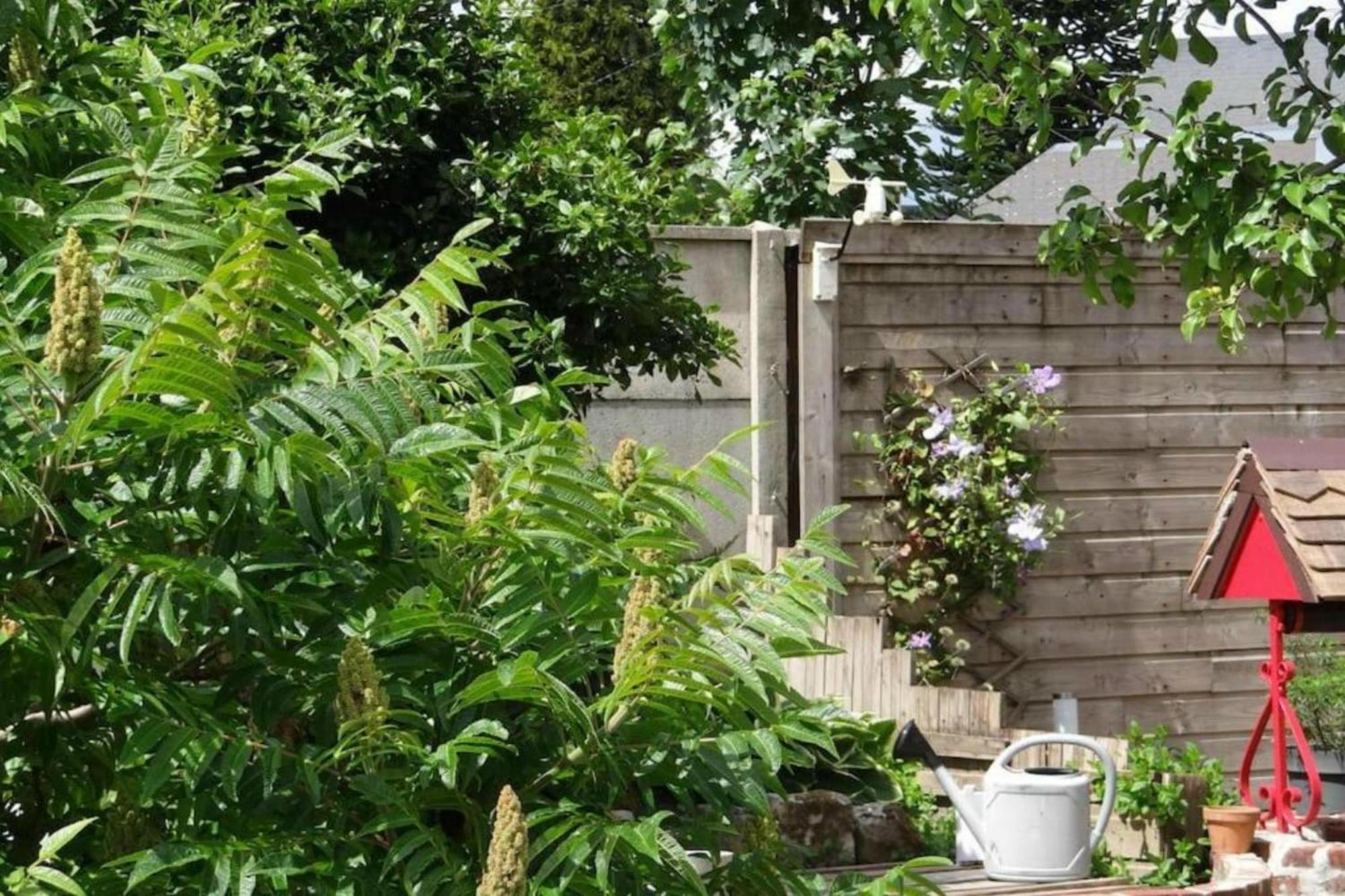 Clos Des Paquerettes : Maison Avec Jardin Privatif イヴト エクステリア 写真